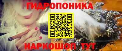 PSILOCYBIN Новозыбков