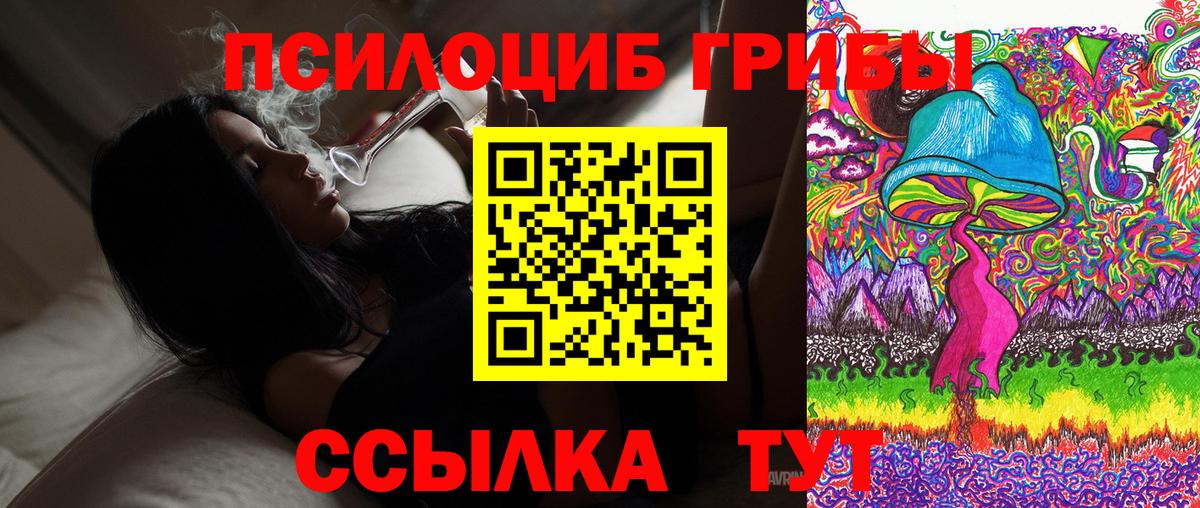 Псилоцибиновые грибы Psilocybe Пушкино