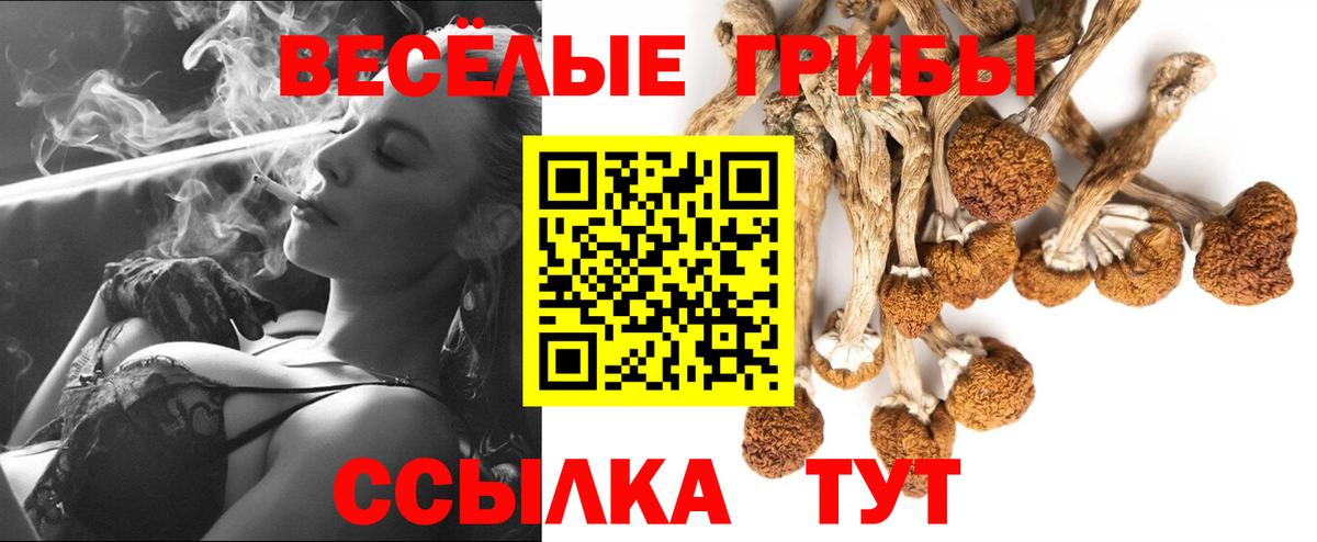 Пушкино  Псилоцибиновые грибы мицелий  Вход с VPN  Галлюциногенные грибы прущие грибы 